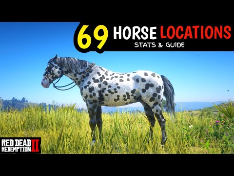 All 69 Unique Horses With Map Locations In Red Dead Redemption 2