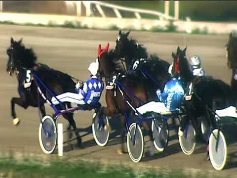 Trotto 09/11/2018 - 2ª corsa