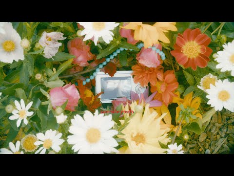 Video thumbnail for suninallmyteeth