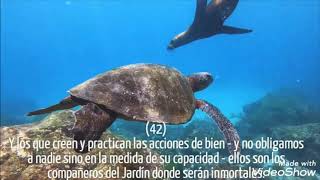 Download lagu Salman al Utaybi Corán Surah Al A'raf 42-51 Español Quran beautiful recitation mp3 Download lagu Salman al Utaybi Corán Surah Al A'raf 42-51 Español Quran beautiful recitation mp3