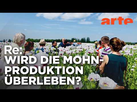 Video Thumbnail: Zwei Mohnbauern gegen einen Käfer | ARTE Re: Reupload