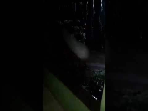 chuvas agora sítio Nova Vida, Icó, Ce.