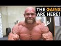 If You're Looking for the Gains They're Here!