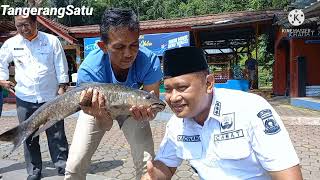 Download lagu Ikan Dewa dan Sumur Tujuh Cibulan Jejak Prabu Siliwangi di Kabupaten Kuningan mp3