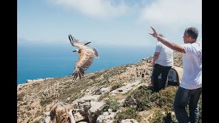 A VOL D'OISEAU, le film