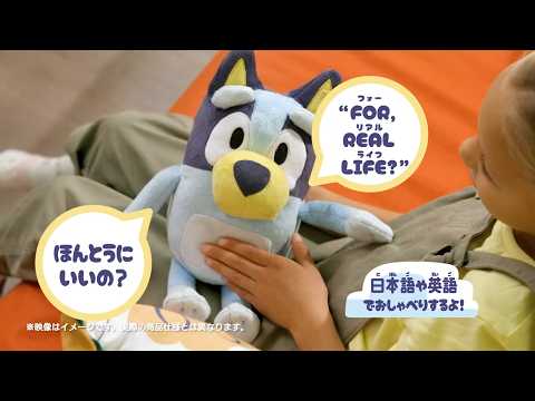ブルーイ　おしゃべりブルーイ・おしゃべりビンゴＣＭ