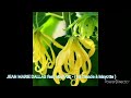 Jean Marie Dallas Feat Mad Aik Hi Clande à Mayotte