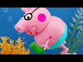 Sunny Day Beach Holiday Seagull S Nest Twin Have Fun Lost Horse Friend Peppa Pig Animation