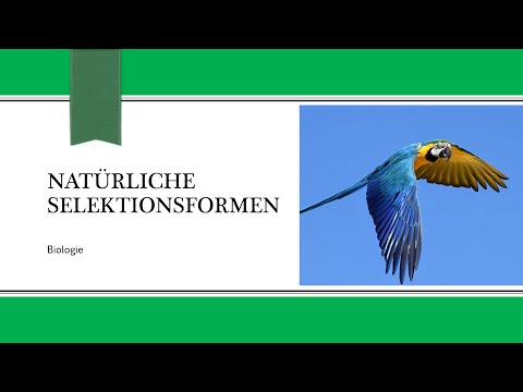 Natürliche Selektion