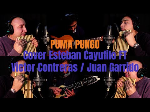 Puma Pungo - Altiplano #cover