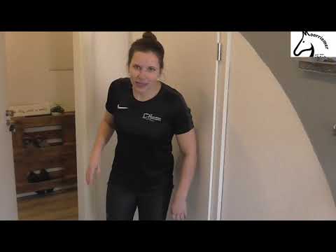 Volti Home Workout II