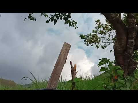 PRADERA VALLE DEL CAUCA TIENE GANAS COMO DE LLOVER TRUENA 