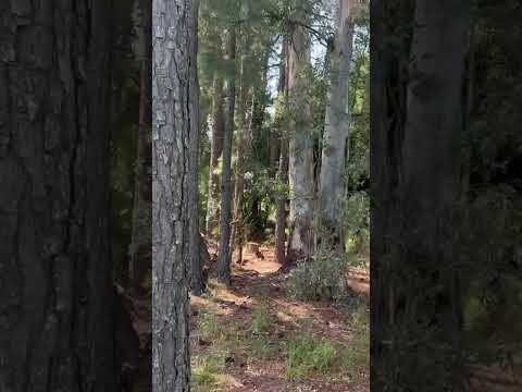 Terreno en Puerto Yeruá. Entre Rios. Argentina