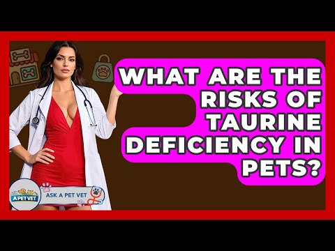 What Are The Risks Of Taurine Deficiency In Pets? - Ask A Pet Vet