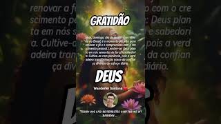 GRATIDÃO DEUS PELAS BENÇÃOS #gratidão #deus #mensagem