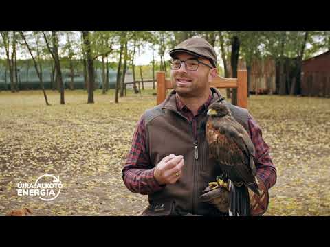 A Tulipános Tanya fenntartatóan szabad világa