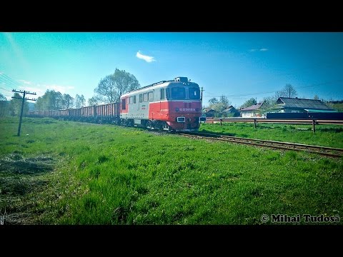 Woodchip train CFR Marfa on Falticeni - Dolhasca railway [April, 2016]