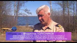Рыбалка жижицком озере псковская область