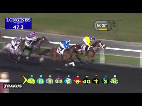 23.01.2014 Meydan (Dubai-UAE) 1.Race Gulf News Tabloid - Handicap 1.200 m