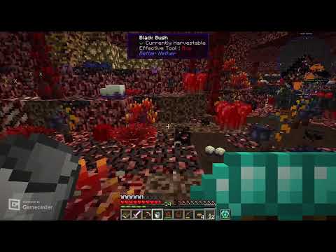 Divine Journey 2 Co-op, Chapters 3-5: Episode 8