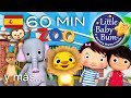 La Canción Del Zoo Y Muchas Más Canciones Infantiles 60 Minutos De Recopilación LittleBabyBum