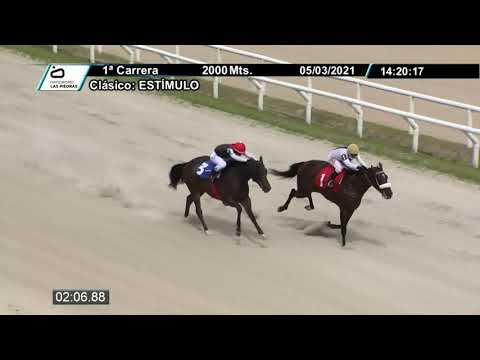 210305 c01 - QUEEN BOUDICA -  CLÁSICO ESTÍMULO - HIPODROMO LAS PIEDRAS