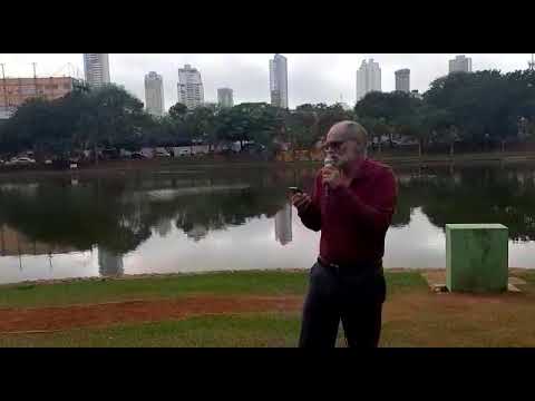 red Roses for a blue lady