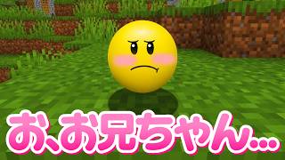 【マインクラフト】ベリティをカワイイ女の子にしてみた【ゆっくり実況】