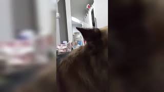 ROGER AN A PU CANCER VEI A ENKAWL LAI. HNUK AVA TI ULH TAK EM😢😢