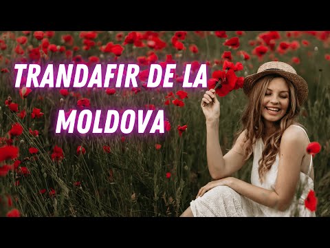 Ursu Music - TRANDAFIR DE LA MOLDOVA