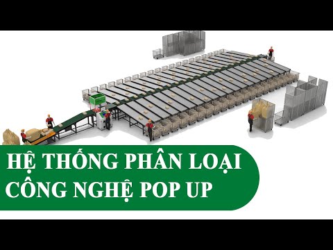 Hệ thống phân loại Pop - Up