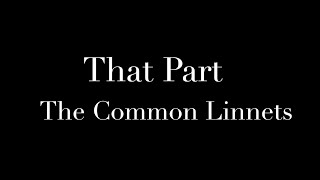 That Part - The Common Linnets Lyrics