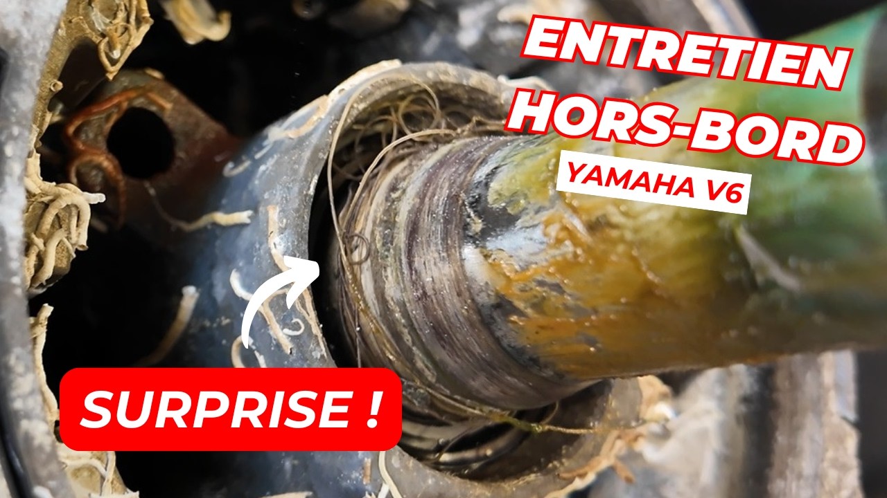 Entretien moteur hors-bord découvertes surprises fil pêche coquille Fil Marine