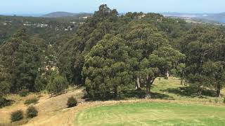 1295 Huon Road, Neika