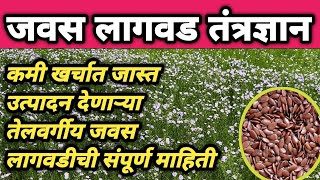 Download lagu जवसाचे नवीन वाण व लागवड तंत्रज्ञान | Javas Lagwad Mahiti | Linseed Cultivation mp3