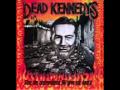 Dead Kennedys-I Fought The Law w/ lyrics 
