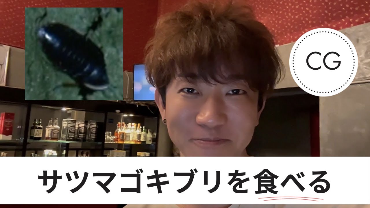 【CG】サツマゴキブリを食べるおじさん