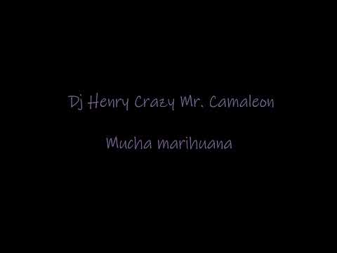Mucha marihuana Mr Camaleon Henry crazy