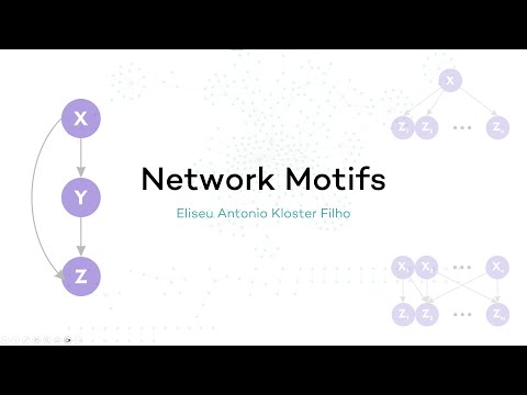 Network Motifs