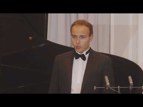 Schubert . An die Musik