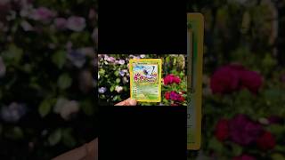 Pokemon in the wild #pokemon #reels #tcg #pokemoncards