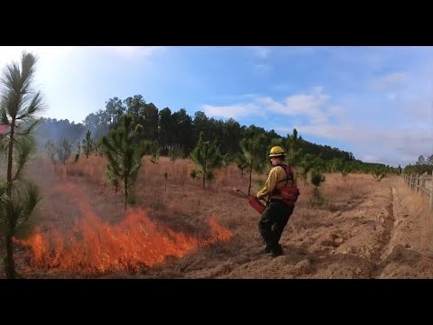 Lighting the Fire: Planning and Executing a Prescribed Burn