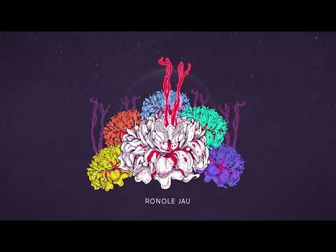 Shanku Ronole Jau ( Assamese song )