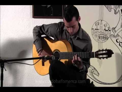 Daniel Martinez, Fuente del Potro, Alegrías "guidanimartinez"