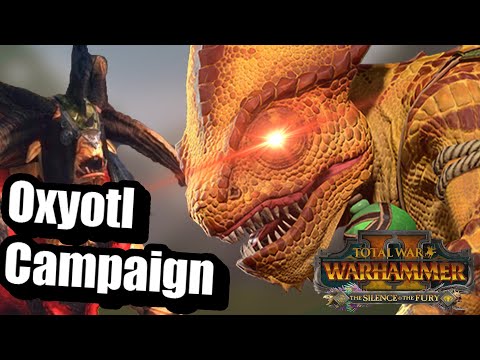 Oxyotl Campaign Experience in a Nutshell