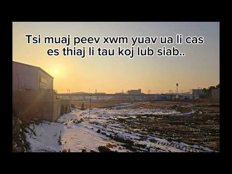 Credit tsi zoo - KARAOKE (cover)