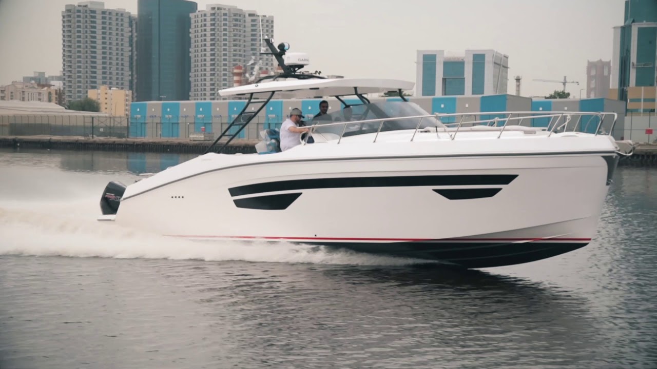 Oryx 379 - An Oryx for the Next Generation
