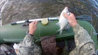 Все о ловле леща на финском заливе