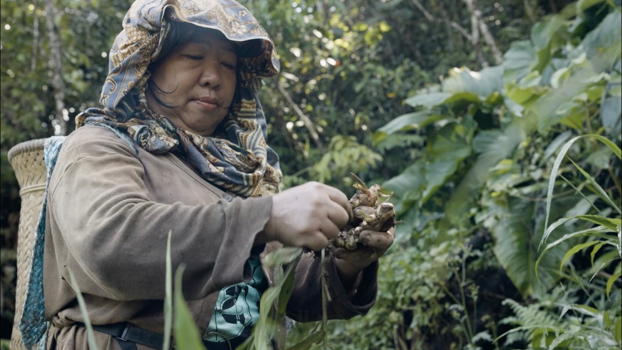 Saving Asian Species: The time is now