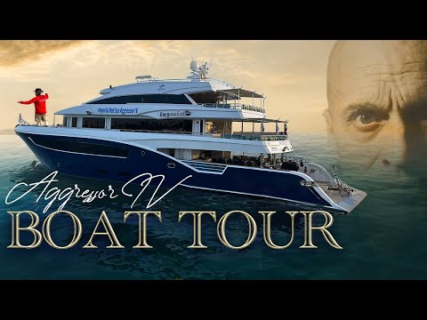 Imperial Red Sea Aggressor IV Boat Tour
